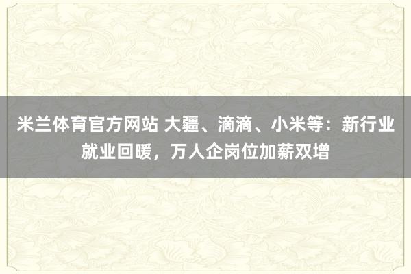 米兰体育官方网站 大疆、滴滴、小米等:新行业就业回暖,万人企岗位加薪双增