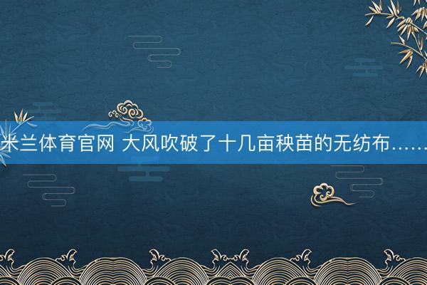 米兰体育官网 大风吹破了十几亩秧苗的无纺布……