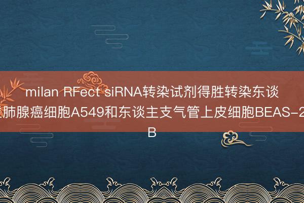 milan RFect siRNA转染试剂得胜转染东谈主肺腺癌细胞A549和东谈主支气管上皮细胞BEAS-2B
