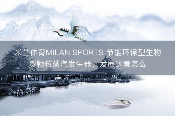米兰体育MILAN SPORTS 节能环保型生物资颗粒蒸汽发生器，发展远景怎么