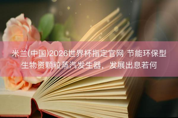 米兰(中国)2026世界杯指定官网 节能环保型生物资颗粒蒸汽发生器，发展出息若何