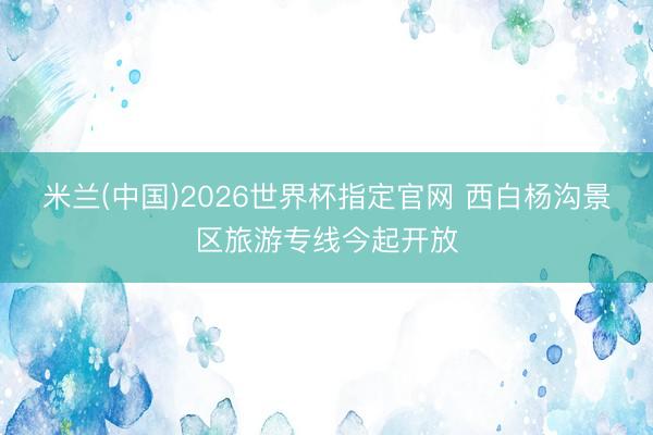 米兰(中国)2026世界杯指定官网 西白杨沟景区旅游专线今起开放