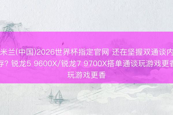 米兰(中国)2026世界杯指定官网 还在坚握双通谈内存? 锐龙5 9600X/锐龙7 9700X搭单通谈玩游戏更香