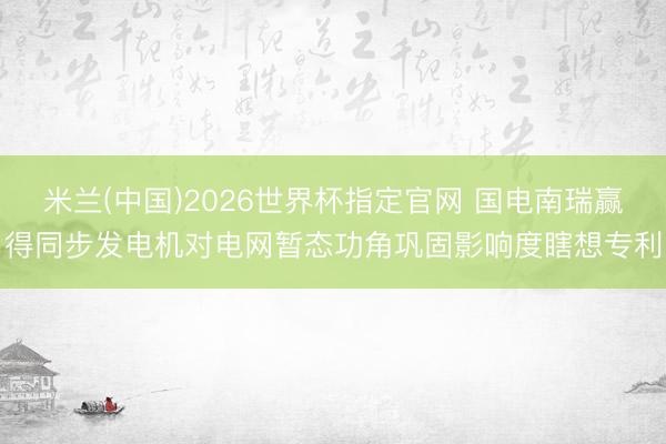 米兰(中国)2026世界杯指定官网 国电南瑞赢得同步发电机对电网暂态功角巩固影响度瞎想专利