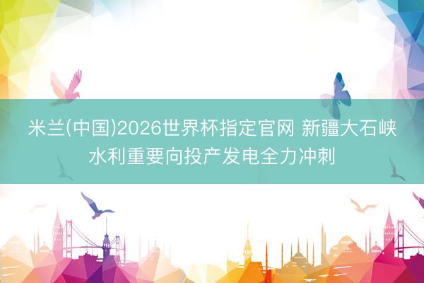 米兰(中国)2026世界杯指定官网 新疆大石峡水利重要向投产发电全力冲刺