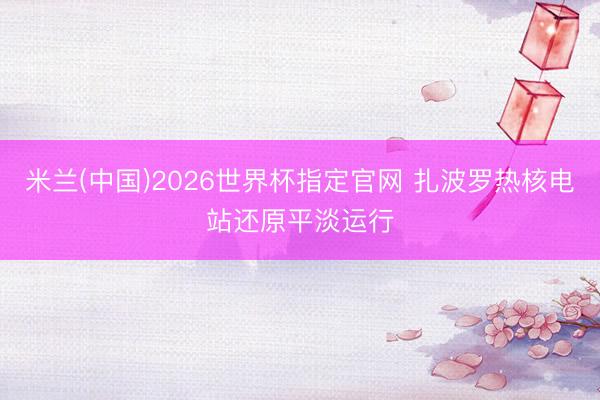 米兰(中国)2026世界杯指定官网 扎波罗热核电站还原平淡运行