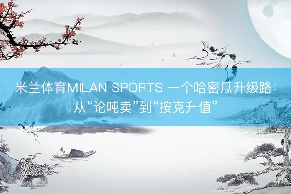 米兰体育MILAN SPORTS 一个哈密瓜升级路：从“论吨卖”到“按克升值”